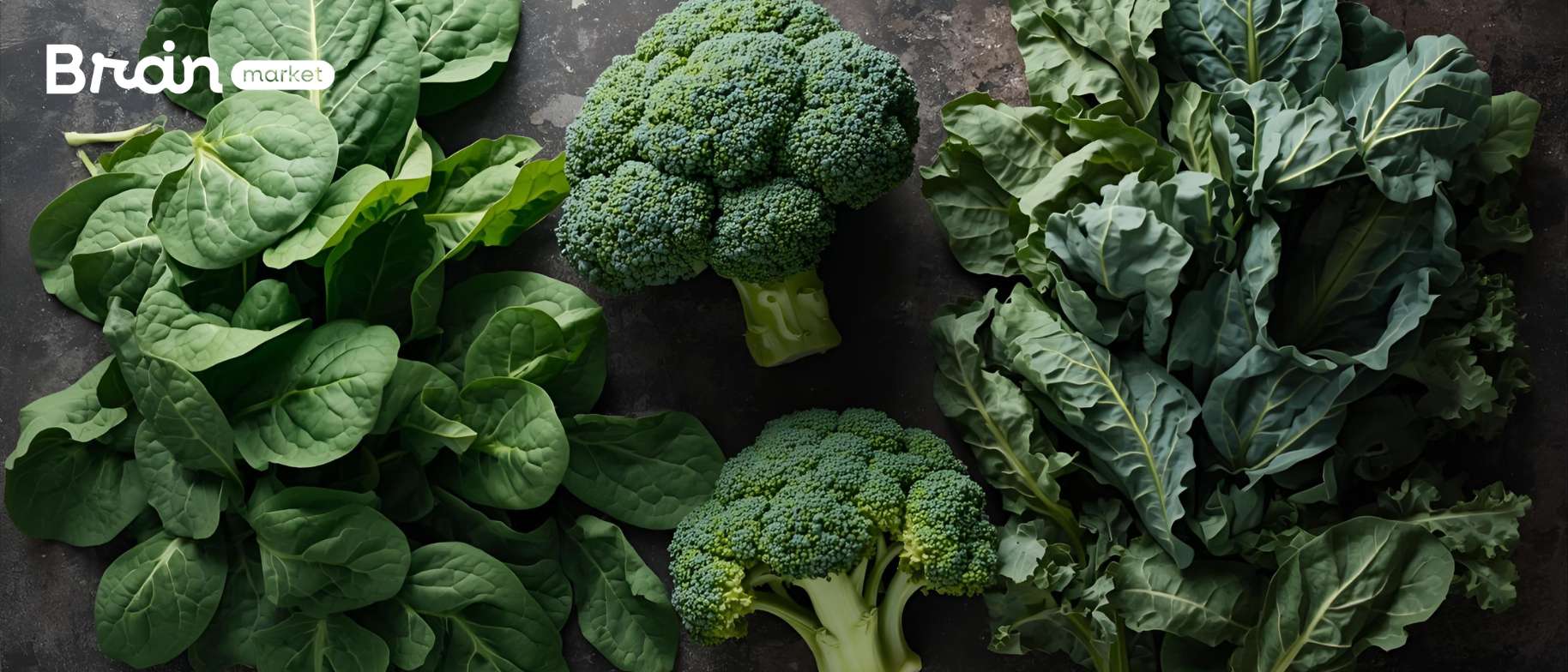 listova zleeniny bilkoviny